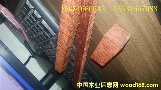 2.0С�~��̴������ ������