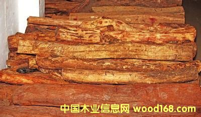 �S����PͲ�����Ѽ���