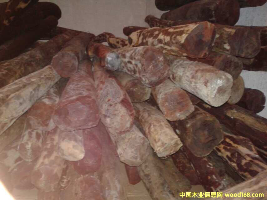 ӡ�� С�~��̴