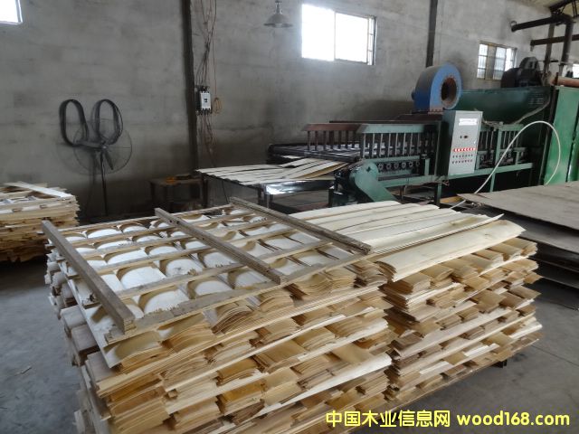 ��ľ�ذ����ϵ�Ԕ��(x��)��B