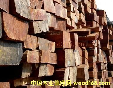 �ǄPԴľ�I(y��)�̓r����(y��ng)�M(j��n)�� �W����ԭľ��