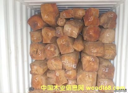 �ǄPԴľ�I(y��)�̓r����(y��ng)����С�u�� ԭľ�����ޣ�