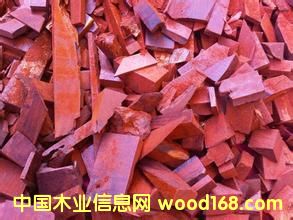 �M����С�~��̴߅���� ���l(f��)�r���Ԕ��(x��)��B