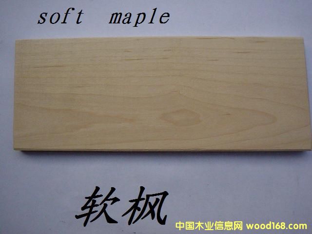 ����ܛ����Ԕ����B