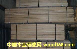 ���������ľ��Ԕ����B