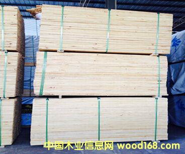 �����ɰ�ĵ�Ԕ����B