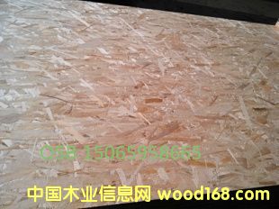 �c(di��n)���鿴����(y��ng)��(y��u)�|(zh��)�����ٻ���Ŵ�DƬ