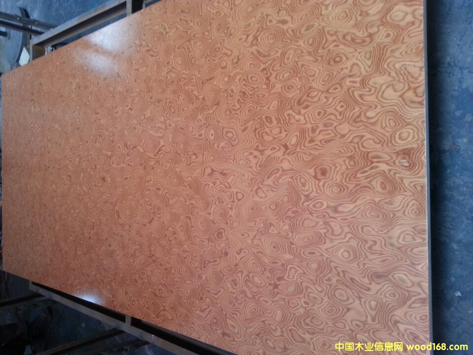 ��ɽ���A���w��I(y��)�����ߙn�Ҿ߰�ĵ�Ԕ����B