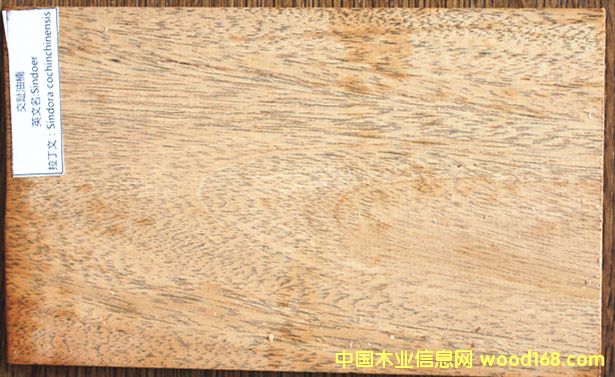 ��ֺ��骵�Ԕ����B