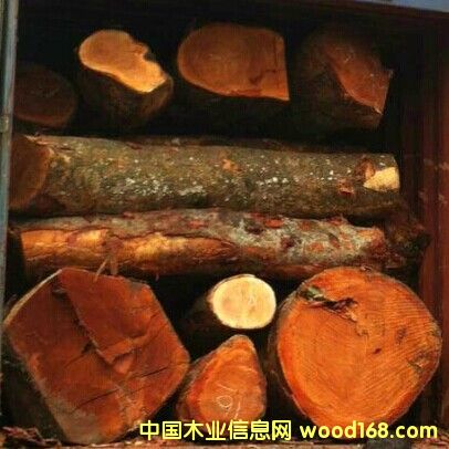 �|�ρ��sľ��ĵ�Ԕ����B