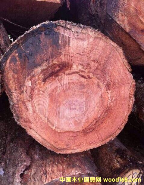 �|�ρ��R���װ��