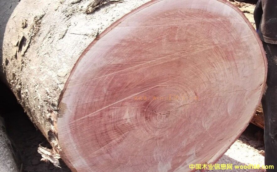 �һ�оԭľ��Ԕ����B