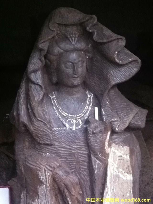 ��ľ��Ԕ����B