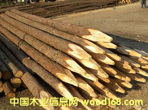 ɼľ�������阶���ӵ�����Ԕ����B