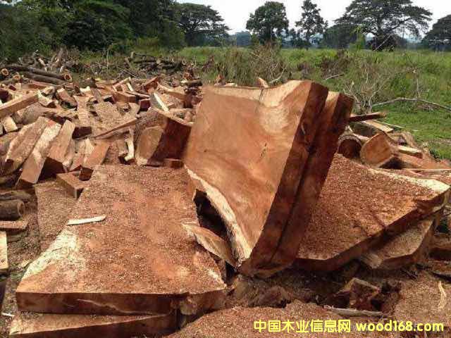 ī�������(sh��)��Ԕ��(x��)��B