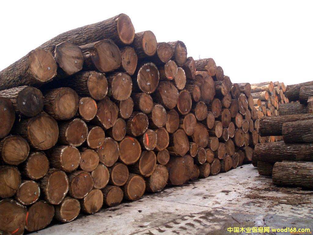 �����ں��ҵ�Ԕ��(x��)��B