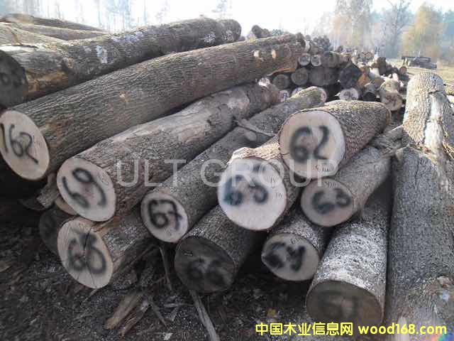 硬楓原木的詳細(xì)介紹