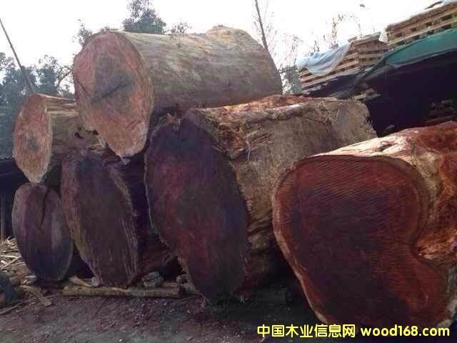 �c(di��n)���鿴�t����ľ�Ŵ�DƬ