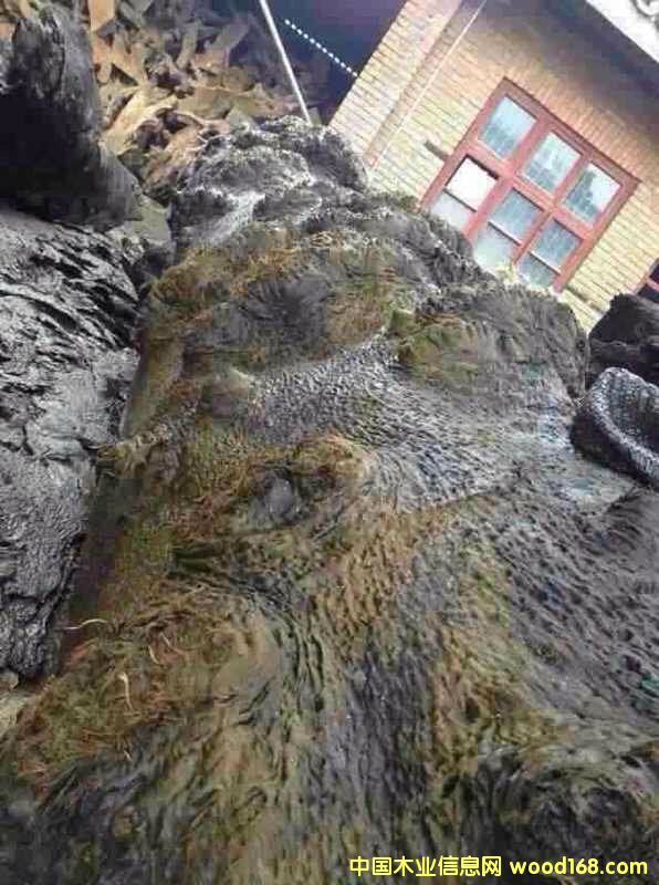 �c(di��n)���鿴��z骞�ľ�Ŵ�DƬ