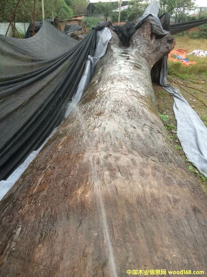 �c(di��n)���鿴��z骞�ľ�Ŵ�DƬ