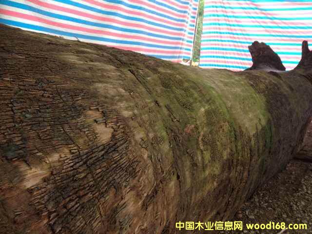 �c(di��n)���鿴���۽�z骴��ľ�Ŵ�DƬ