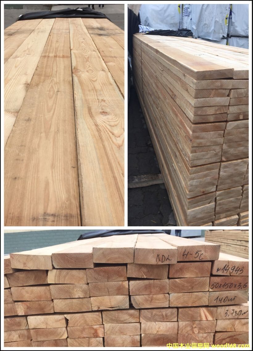 ���_˹���~��50��Ԕ��(x��)��B