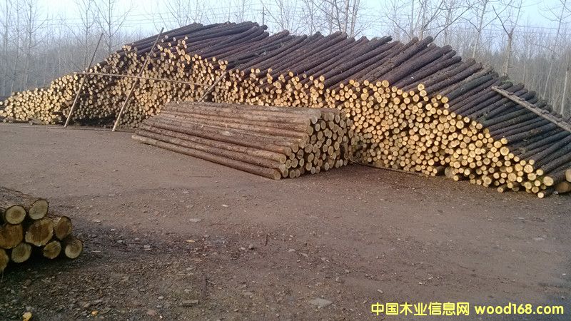 �c(di��n)���鿴ɼľԭľ�Ŵ�DƬ