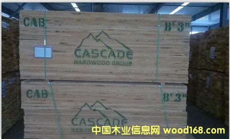 ���������Ԕ��(x��)��B