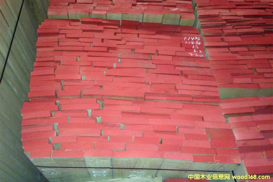 櫸木的詳細介紹