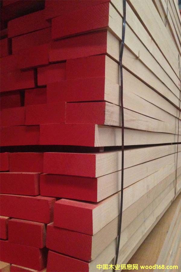 櫸木的詳細介紹