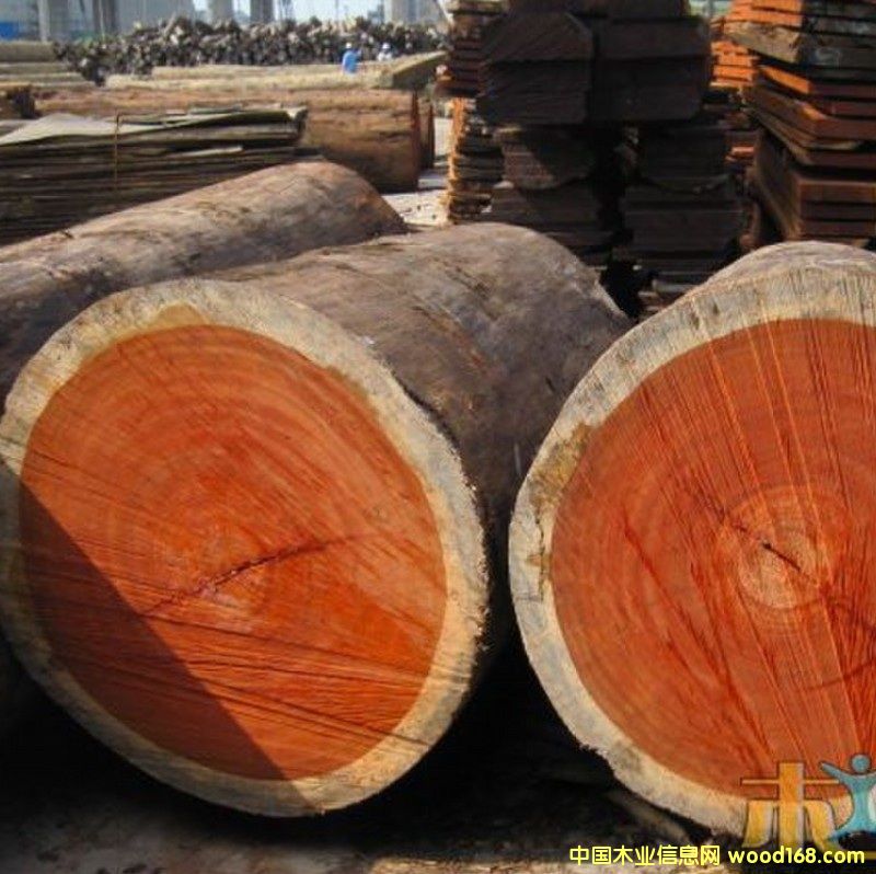 �t��������Ԕ��(x��)��B