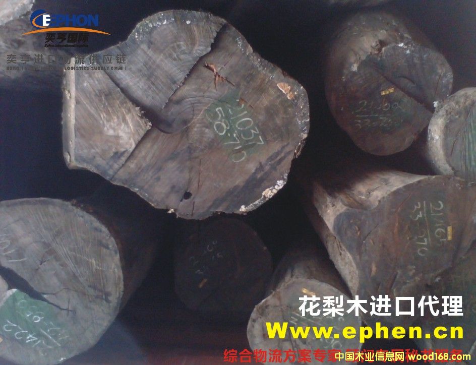 �M(j��n)�ھ����u��ľ,�����u��ľ��(b��o)�P(gu��n),�Ϻ������u��ľ��(b��o)�P(gu��n)