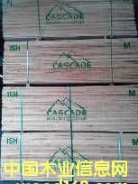 �c���鿴̫ƽ���ľ�Ŵ�DƬ