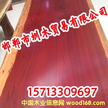 �c(di��n)���鿴����ľ�Ŵ�DƬ