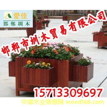 �c(di��n)���鿴����ľ����Ŵ�DƬ