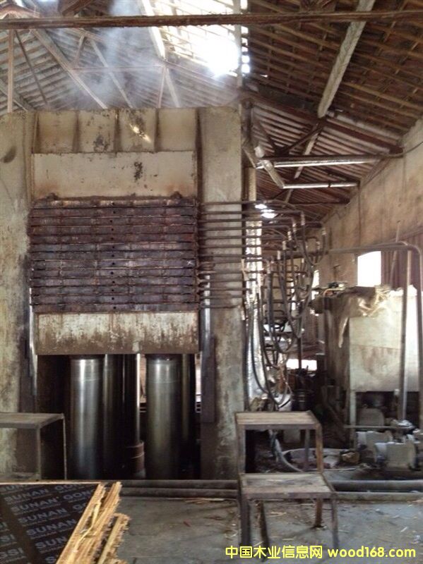 ʮ�������z