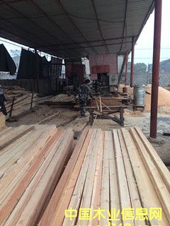 ������ľ�����l(f��)