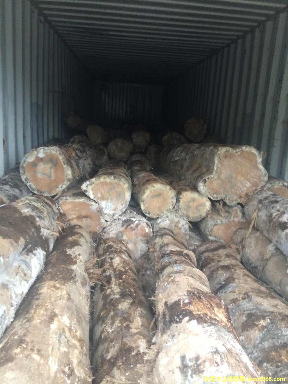 FSC 100%��˹�_(d��)�����ľ