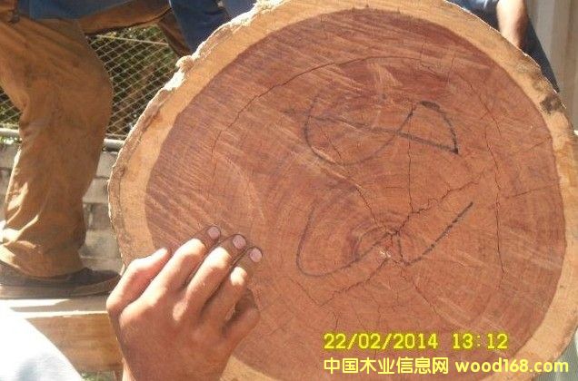 Balsamo �t̴��