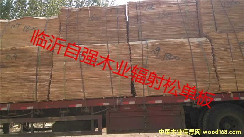 ݗ�����a(b��)Ƥ60�z