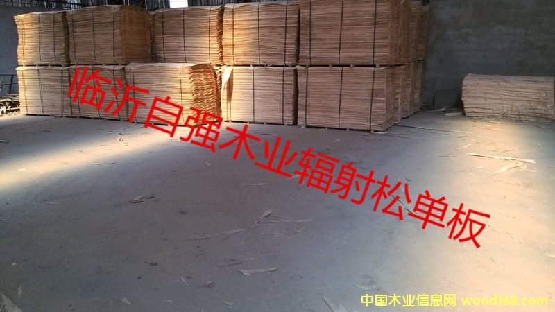 ݗ������Ƥ05