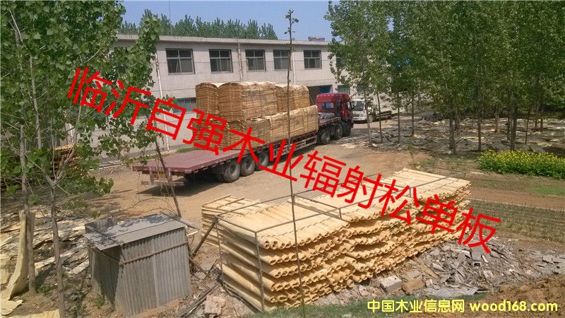 ����С�t����ľ��Ƥ