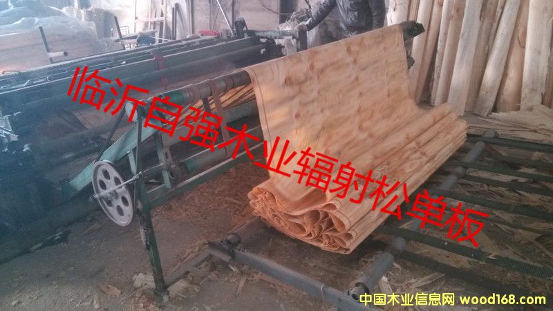 ݗ�������