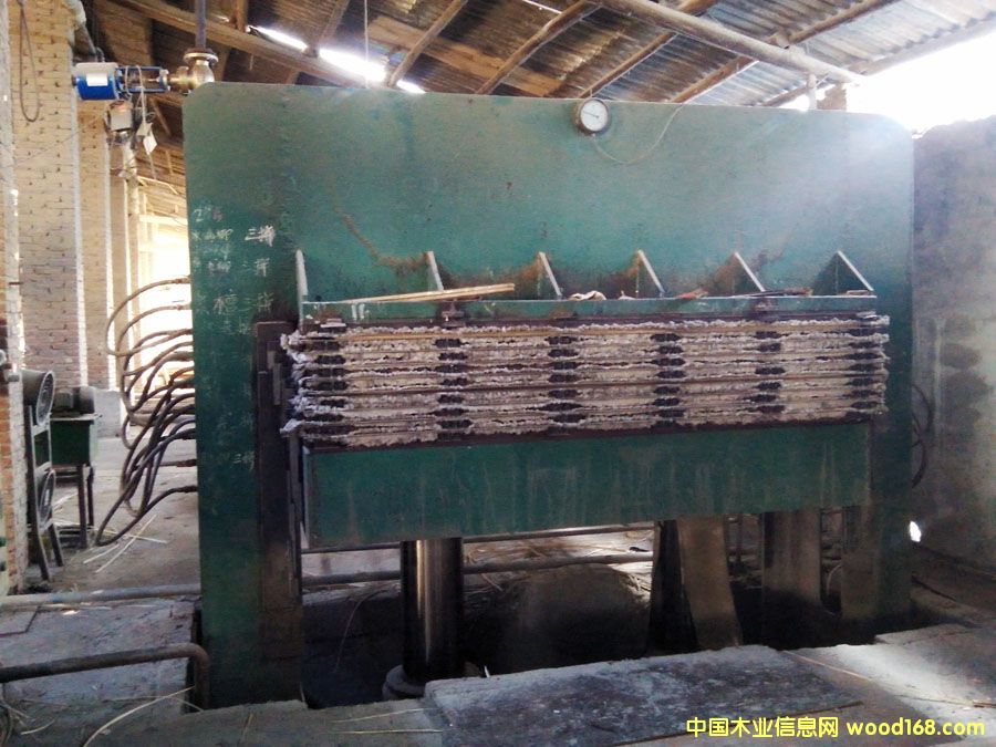 8���N�扺�C