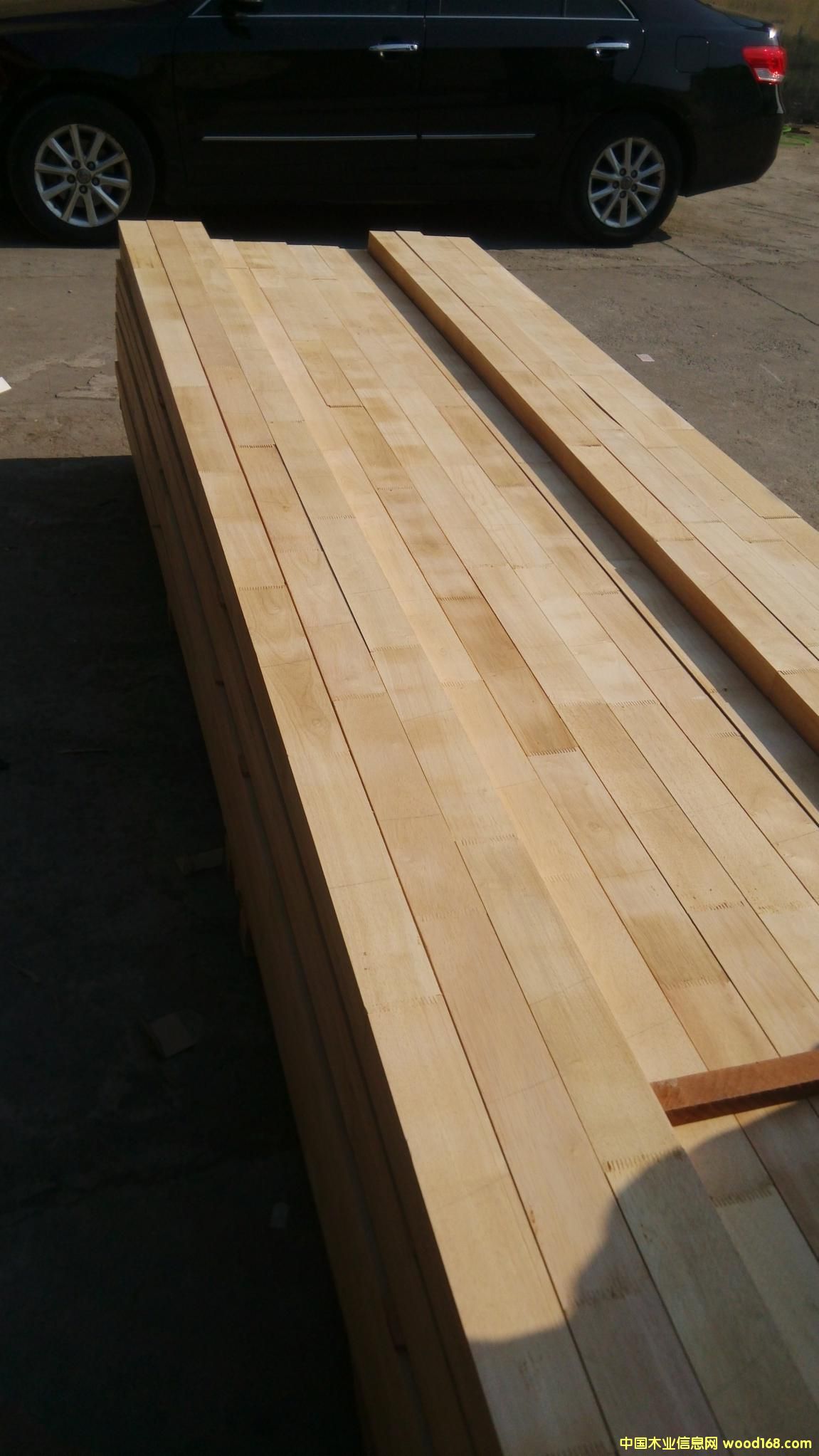 ���zľ������