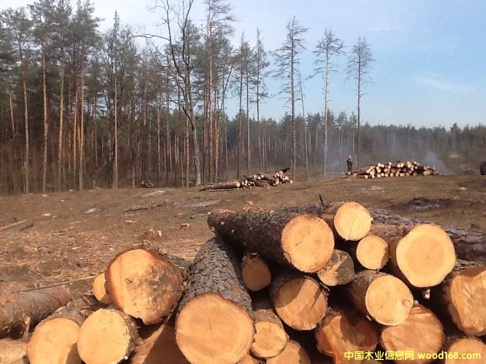 �����m��ɼ������������ľԭľ�����