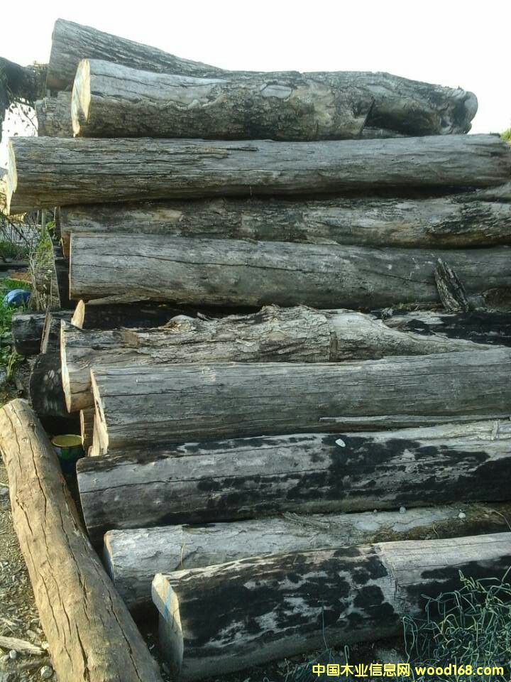 Īٝ�ȿ�С�~�t̴