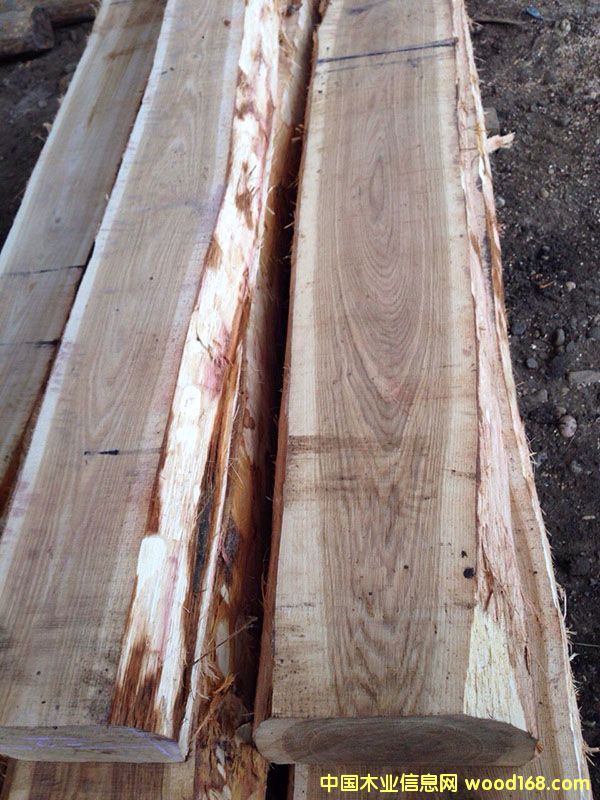 ���_˹�M(j��n)����ľ䏲�