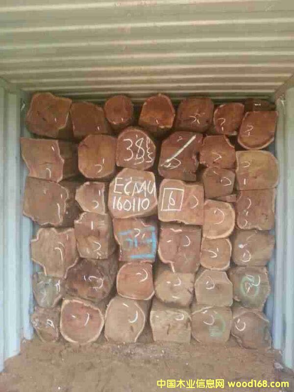 尼日利亞亞花梨 尼日利亞亞花梨