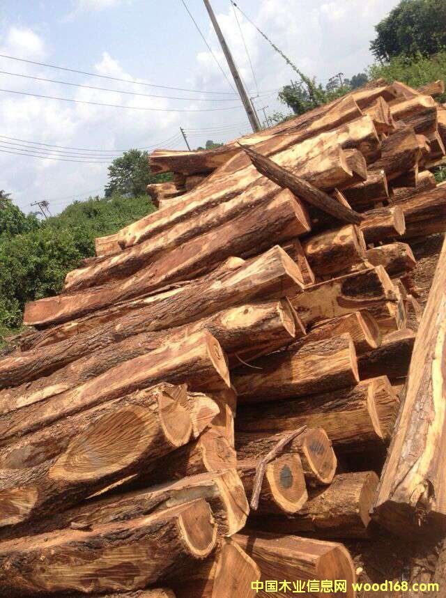 ��������С�~�t̴